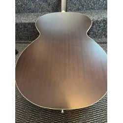 Applause Jumbo Electro-Acoustic Bass AEB96-5E Studio & Stage