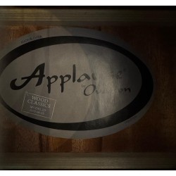 Applause Jumbo Electro-Acoustic Bass AEB96-5E Studio & Stage