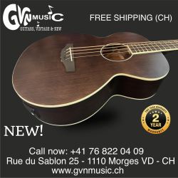 Applause Jumbo Electro-Acoustic Bass AEB96-5E Studio & Stage
