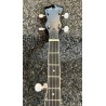Banjo GEWA 5-String Sunburst High Gloss avec Case