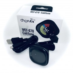 Accordeur de guitare WST-670 rechargeable avec écran LCD couleur