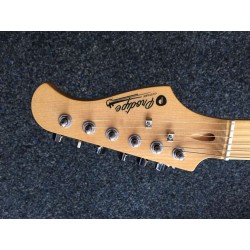 Magnifique Stratocaster de Prodipe
