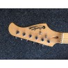Magnifique Stratocaster de Prodipe