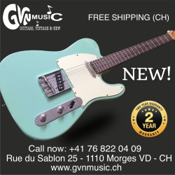 Guitar Prodipe Stratocaster and Telecaster 5 Colors