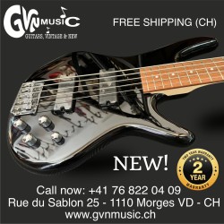 Ibanez Gio 5-String Bass. Powerful!