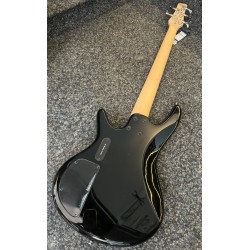 Ibanez Gio 5-String Bass. Powerful!