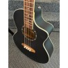 Ortega Electroacoustic Bass avec Cutaway Style et Profondeur
